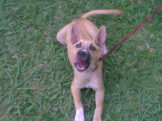 chayna preparandose para jugar, en 10 dias cumple 4 meses